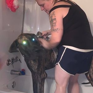 Meet your Posher, Amber